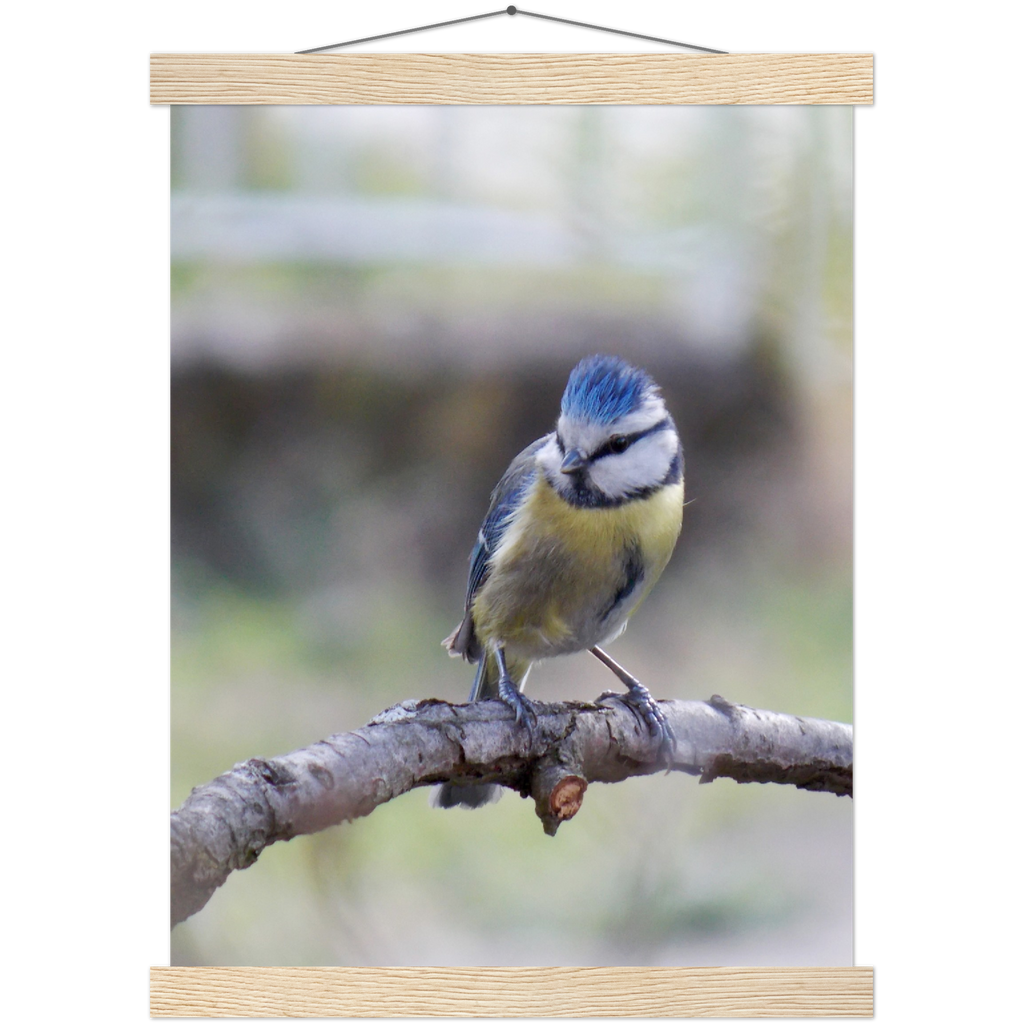 Classic Semi-Glossy Paper Poster with Hanger - Relaxation Series Poster 018