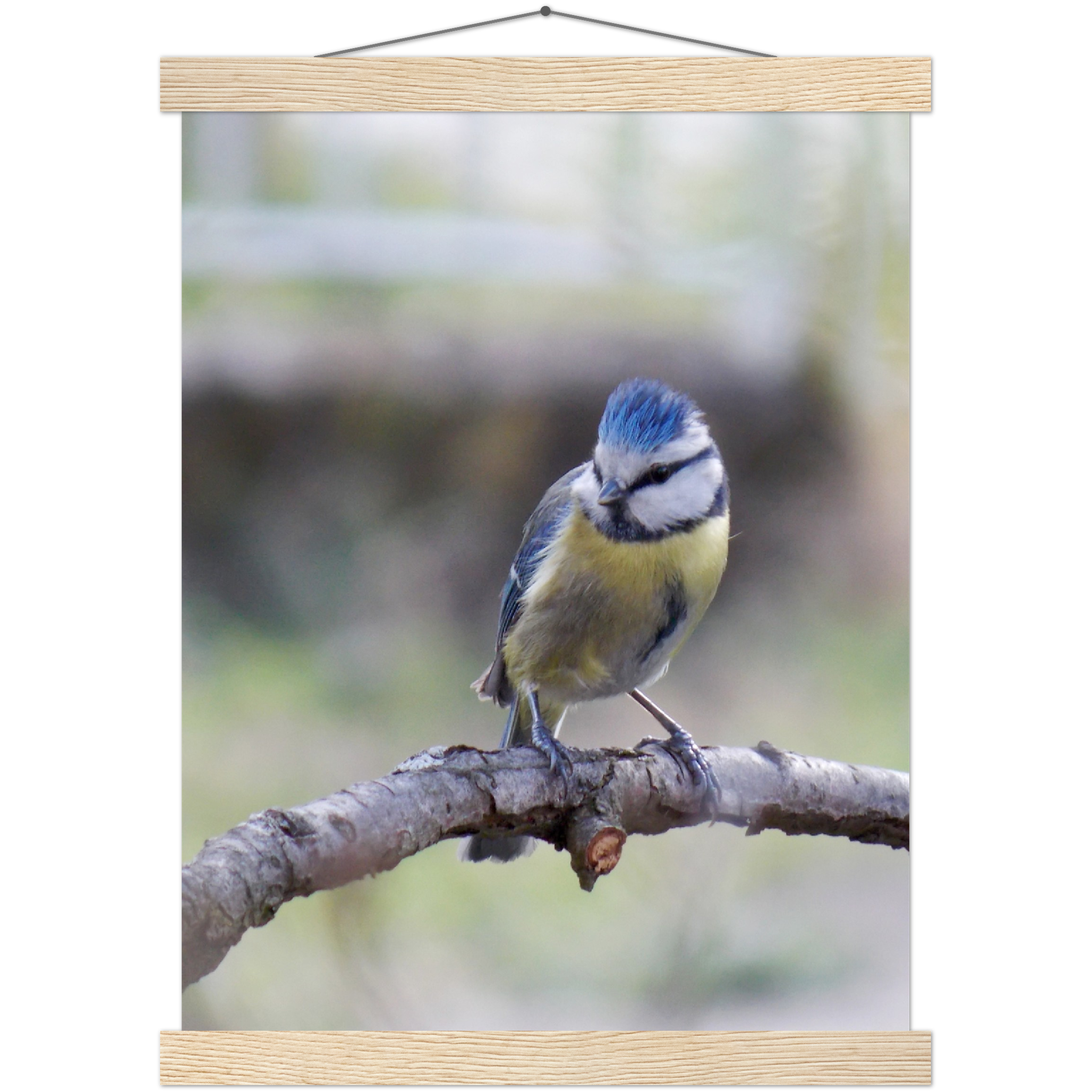 Classic Semi-Glossy Paper Poster with Hanger - Relaxation Series Poster 018