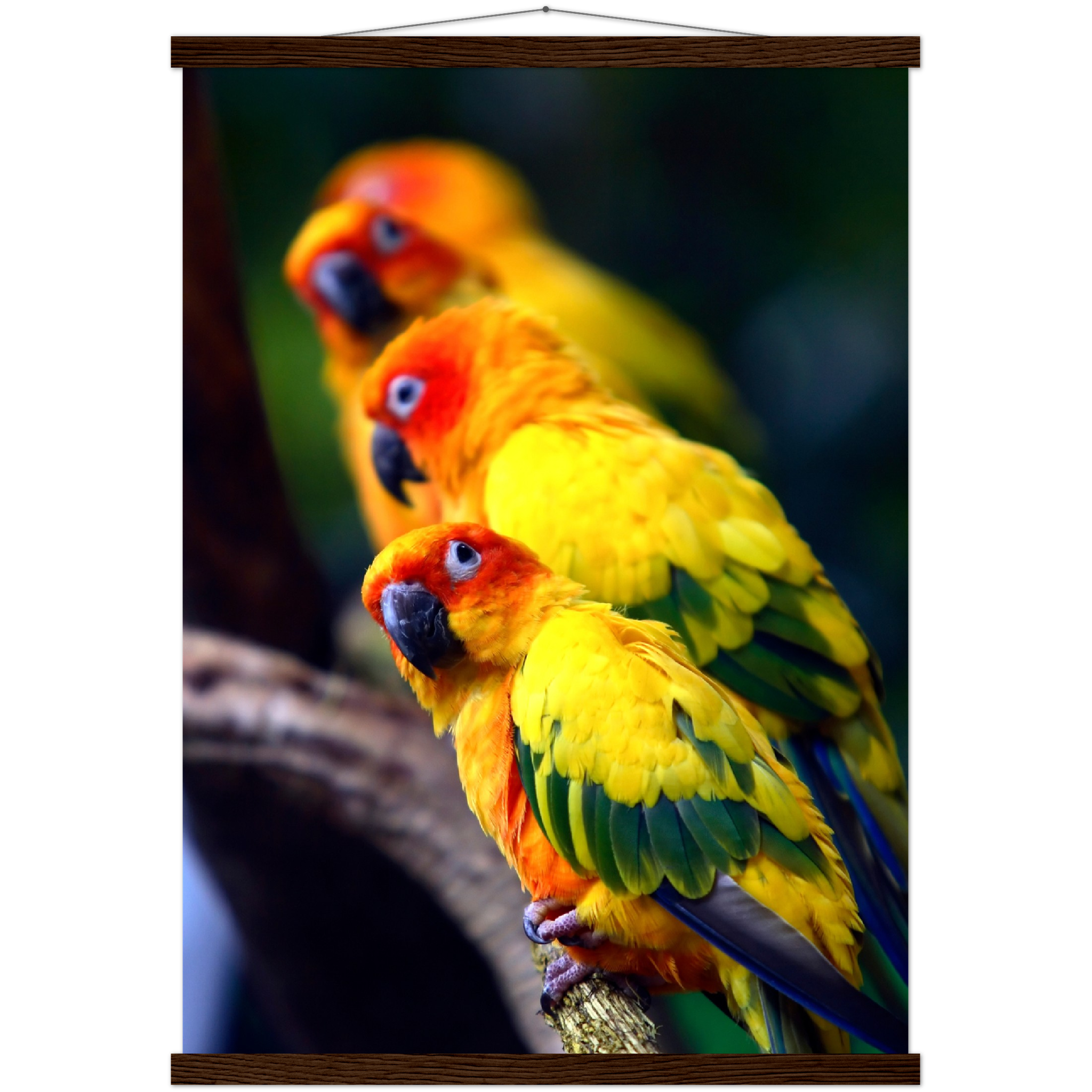 Classic Semi-Glossy Paper Poster with Hanger - Relaxation Series Poster 011