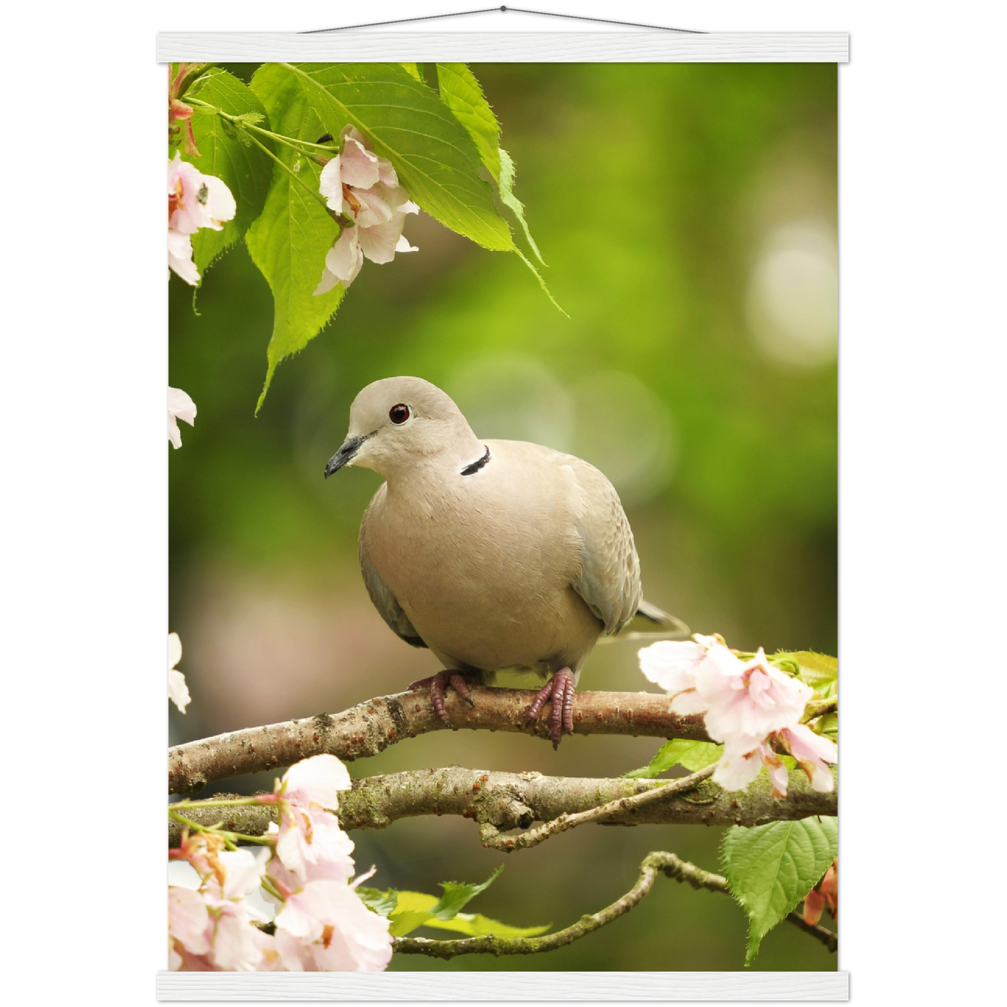 Classic Semi-Glossy Paper Poster with Hanger - Relaxation Series Poster 013