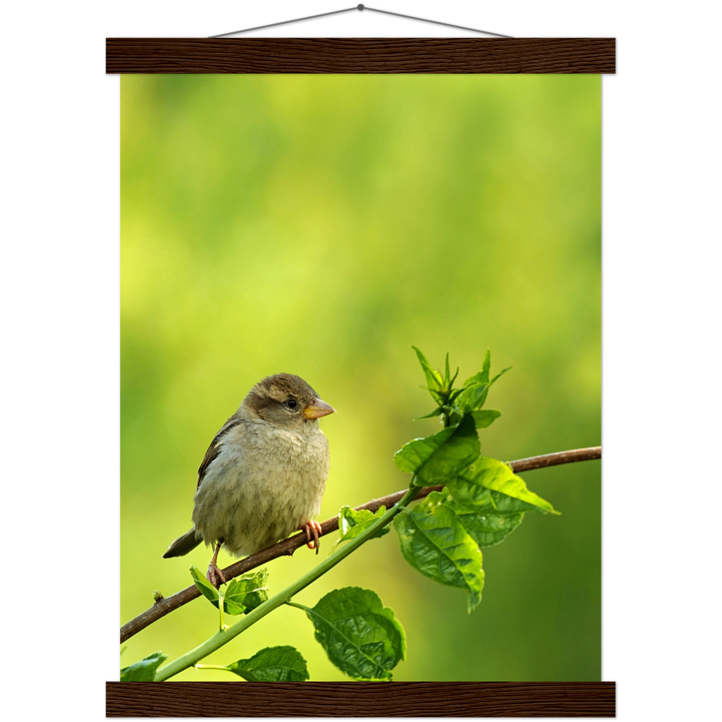 Classic Semi-Glossy Paper Poster with Hanger - Relaxation Series Poster 010