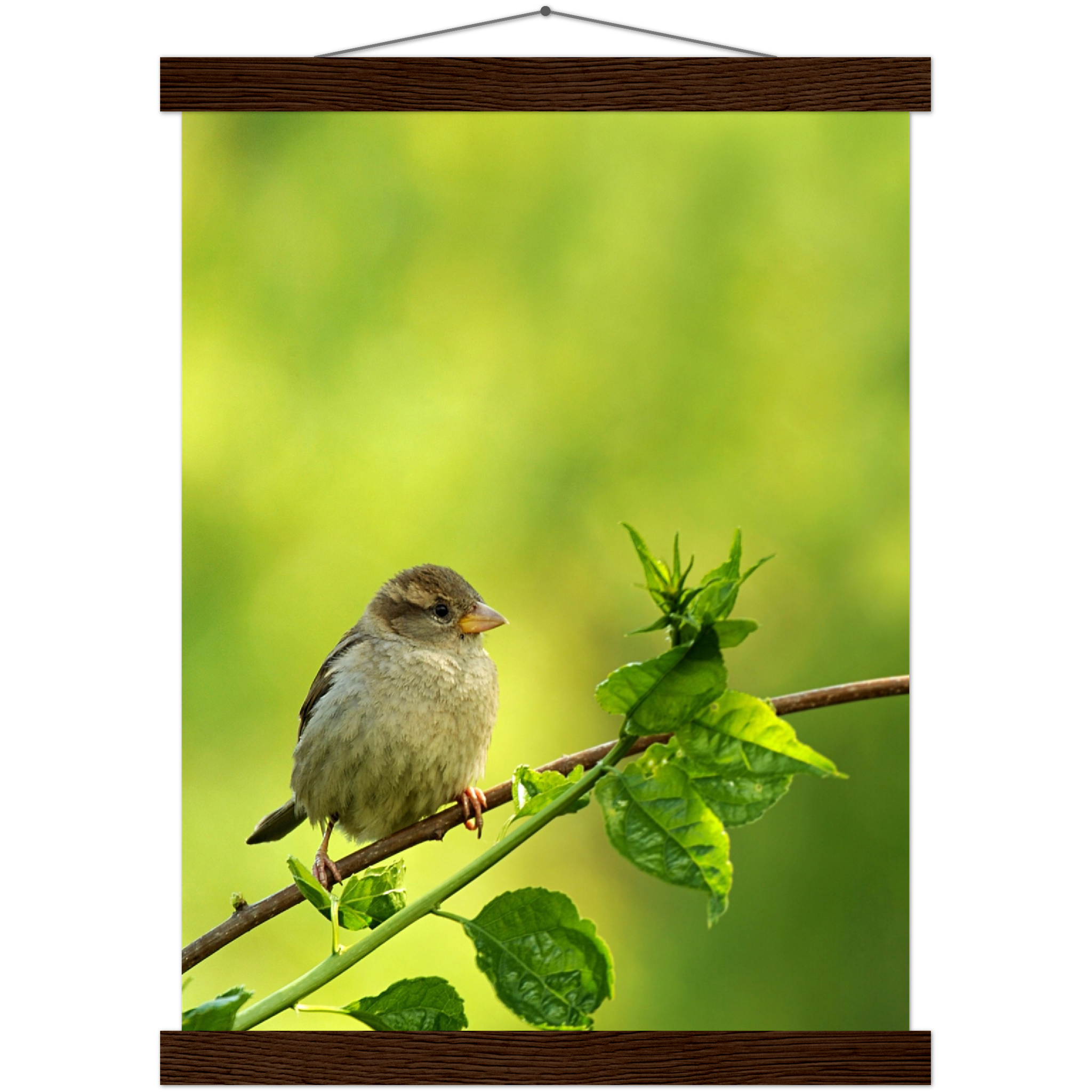 Classic Semi-Glossy Paper Poster with Hanger - Relaxation Series Poster 010