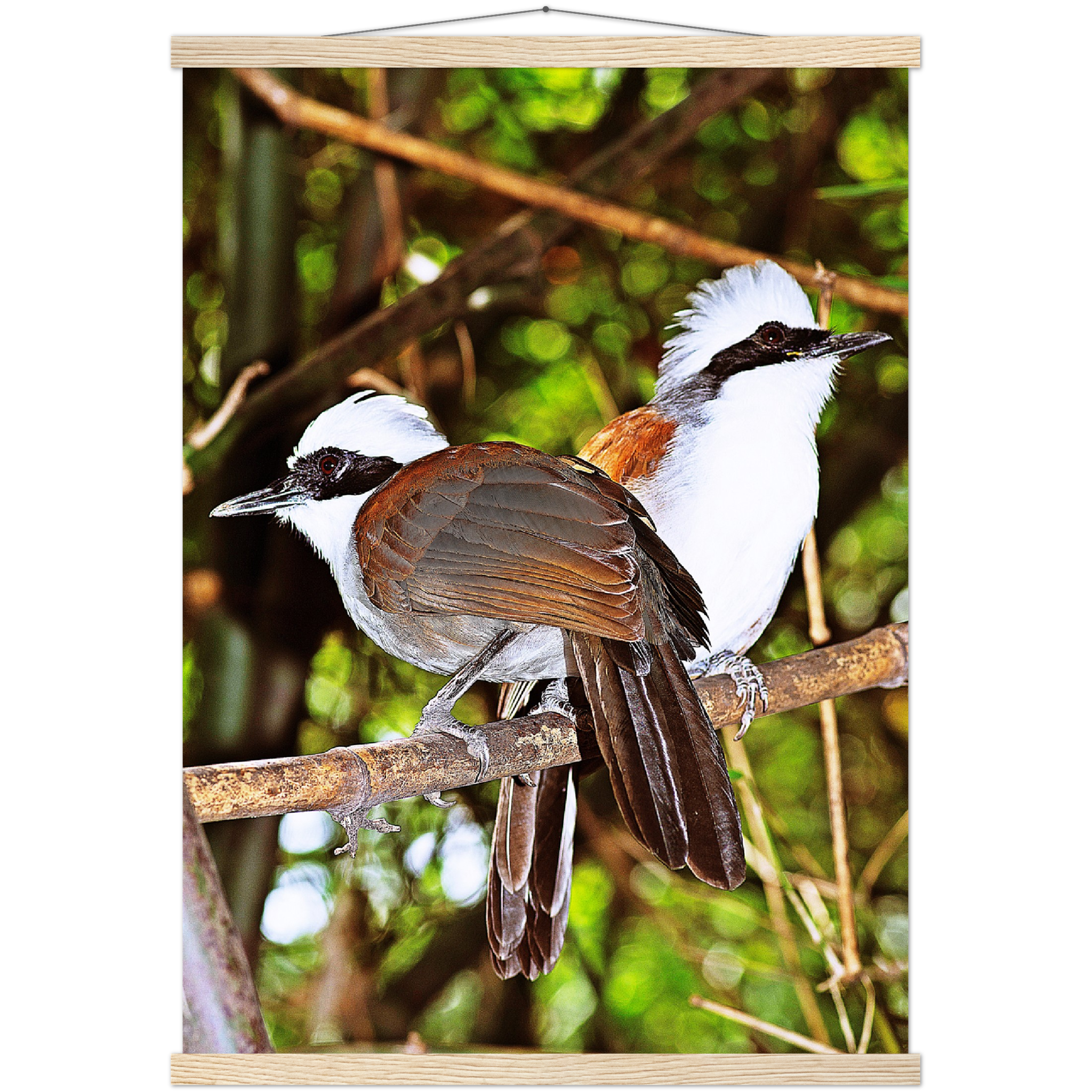 Classic Semi-Glossy Paper Poster with Hanger - Relaxation Series Poster 016