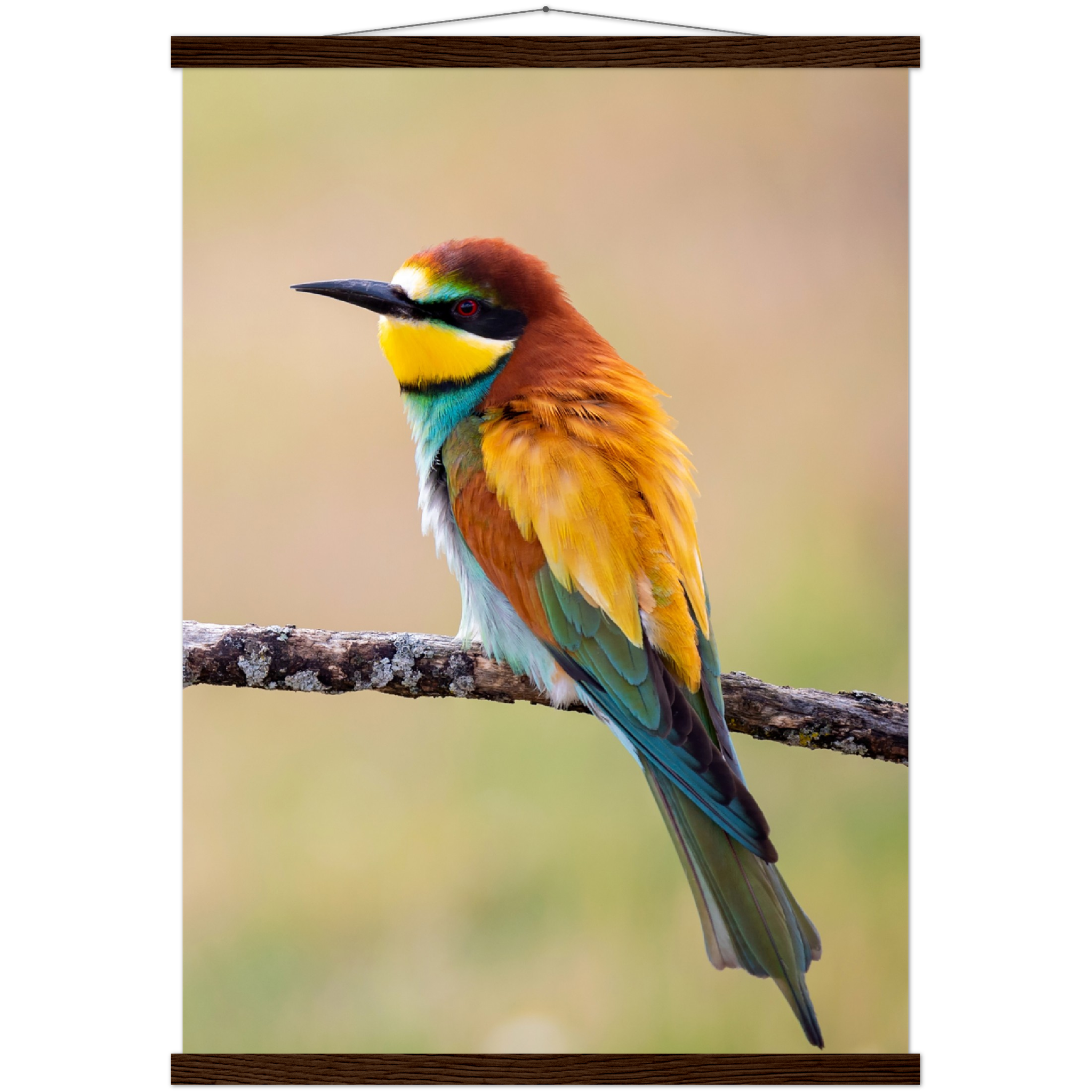 Classic Semi-Glossy Paper Poster with Hanger - Relaxation Series Poster 015