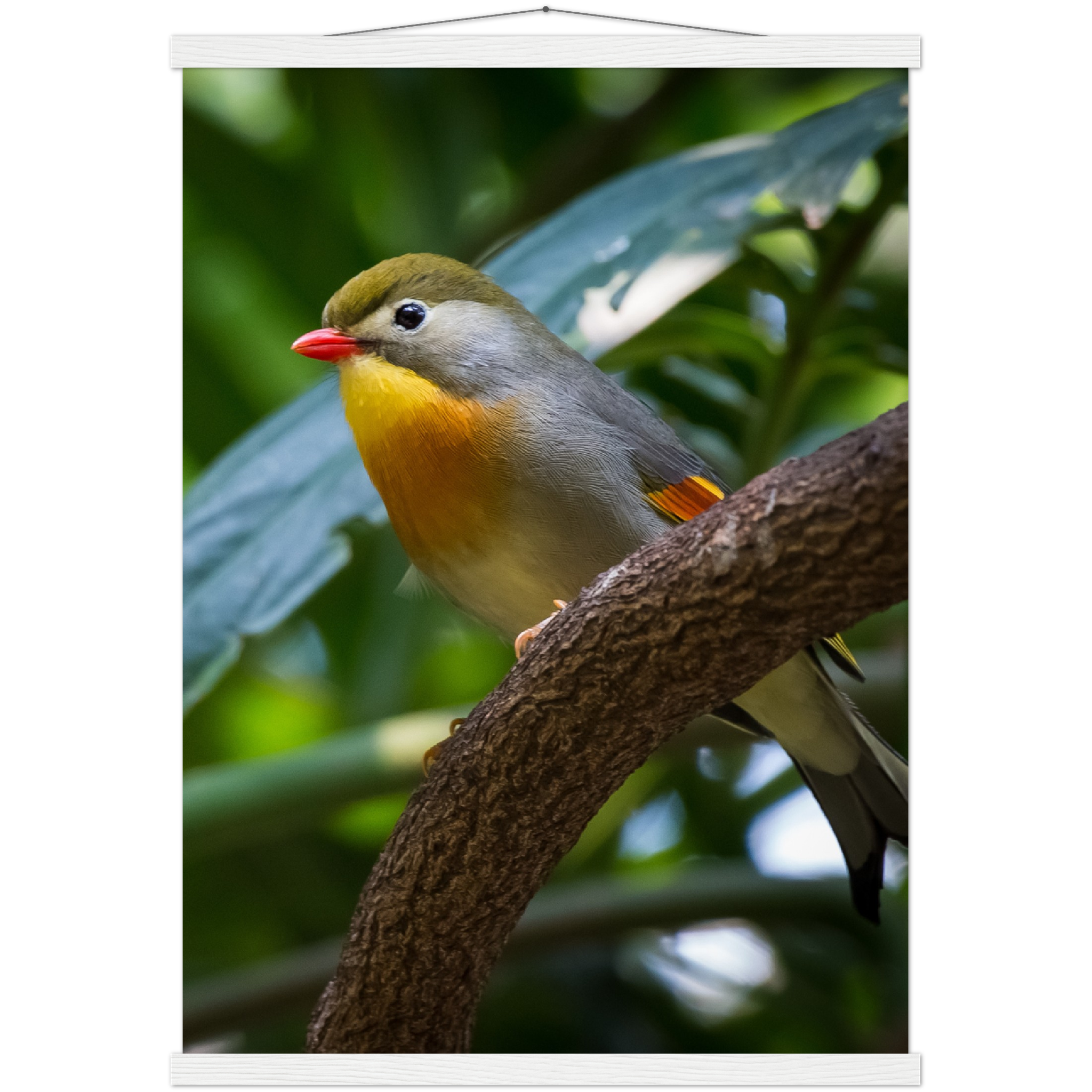 Classic Semi-Glossy Paper Poster with Hanger - Relaxation Series Poster 014