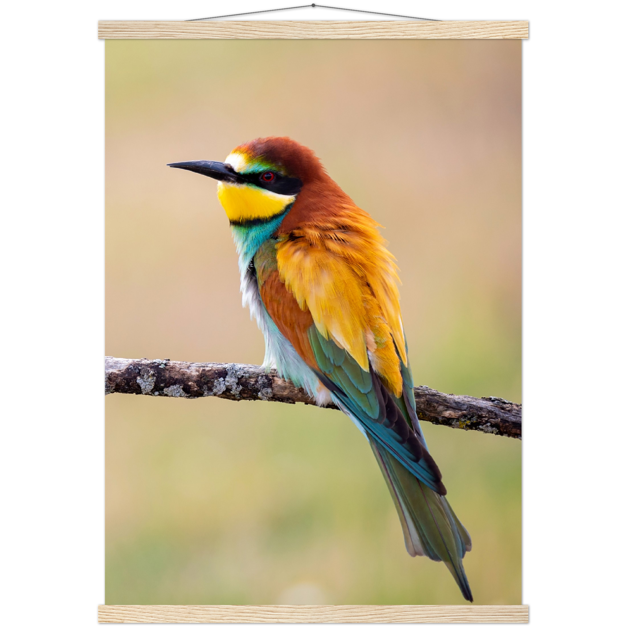 Classic Semi-Glossy Paper Poster with Hanger - Relaxation Series Poster 015