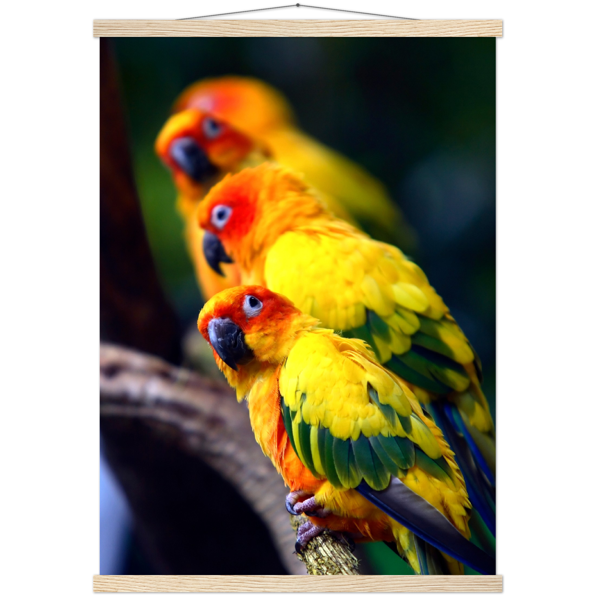 Classic Semi-Glossy Paper Poster with Hanger - Relaxation Series Poster 011