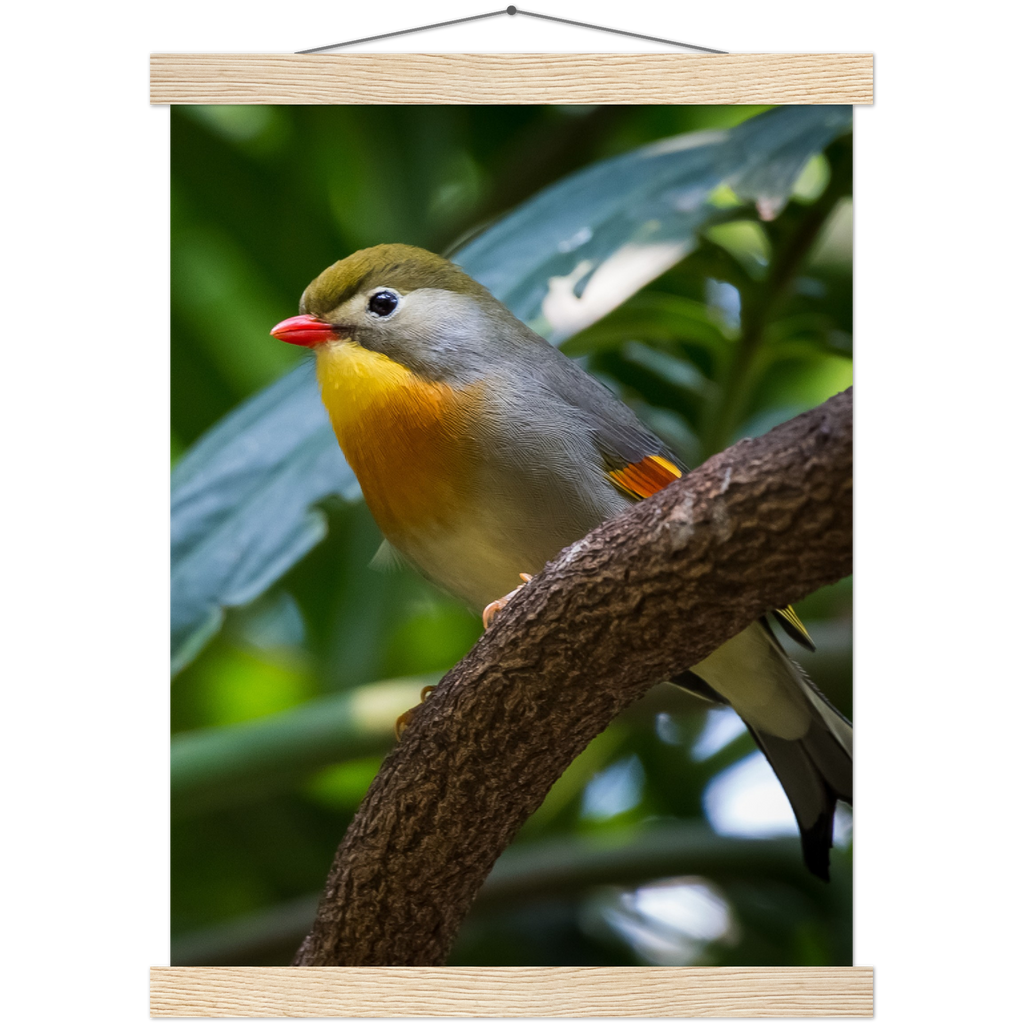 Classic Semi-Glossy Paper Poster with Hanger - Relaxation Series Poster 014