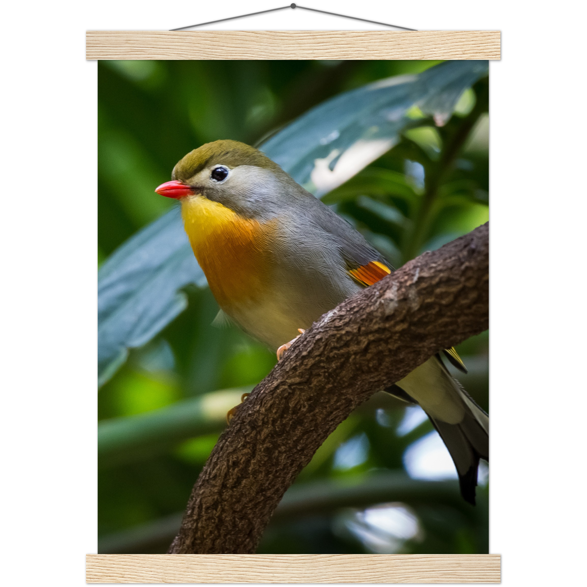 Classic Semi-Glossy Paper Poster with Hanger - Relaxation Series Poster 014