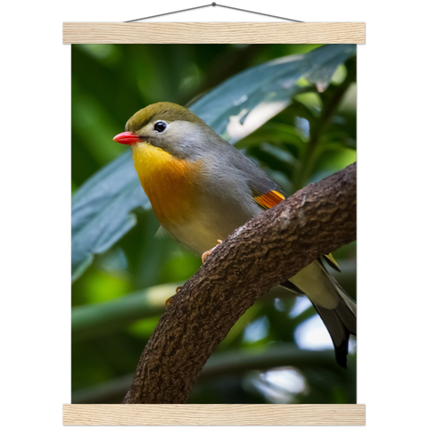 Classic Semi-Glossy Paper Poster with Hanger - Relaxation Series Poster 014
