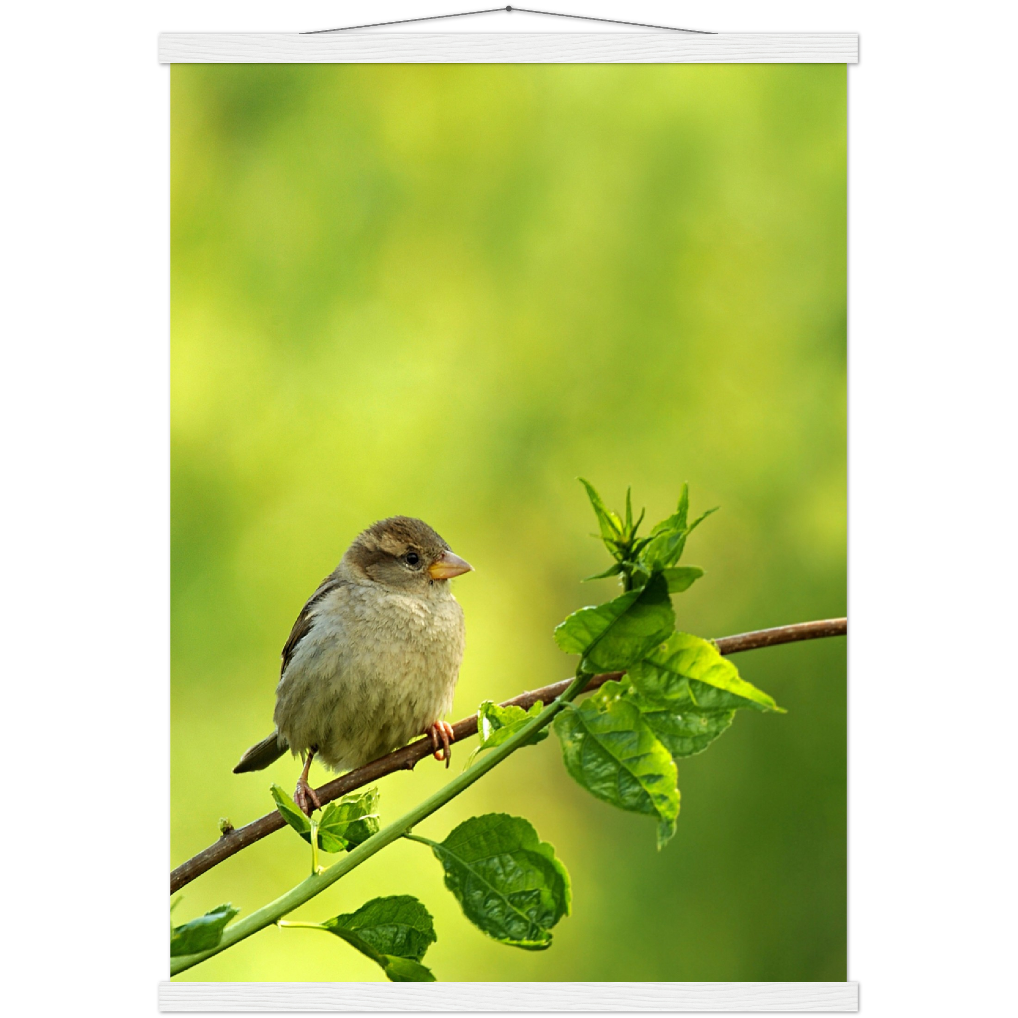 Classic Semi-Glossy Paper Poster with Hanger - Relaxation Series Poster 010