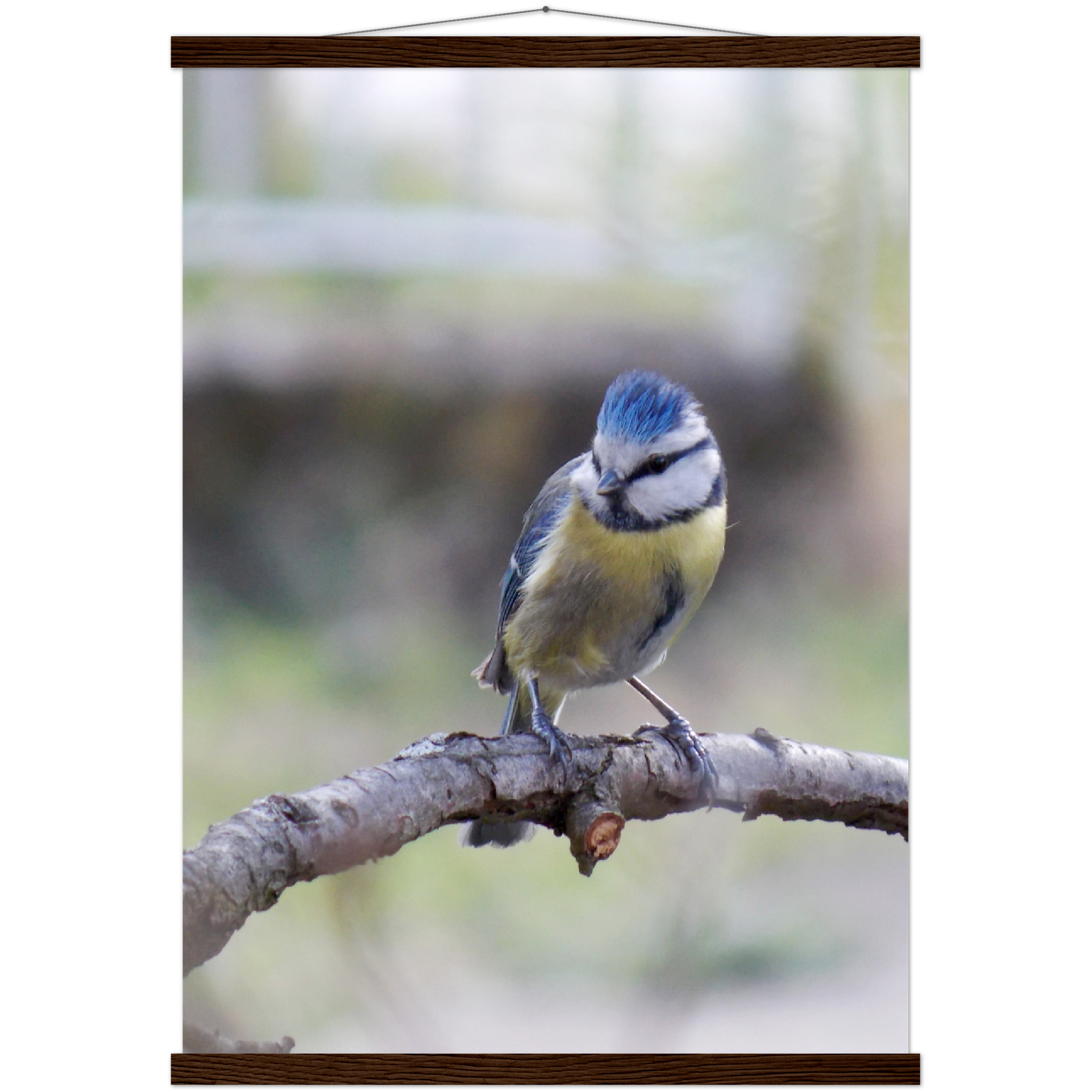 Classic Semi-Glossy Paper Poster with Hanger - Relaxation Series Poster 018