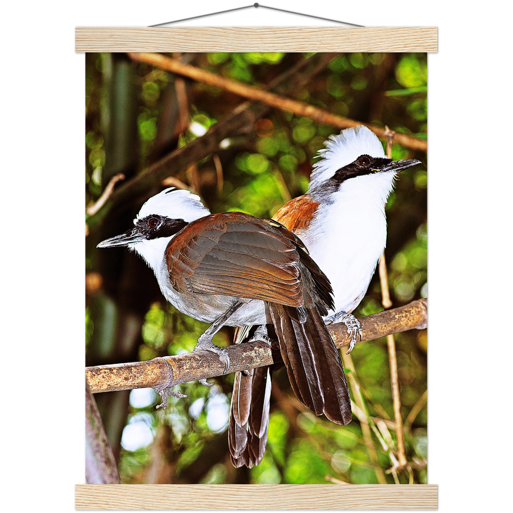 Classic Semi-Glossy Paper Poster with Hanger - Relaxation Series Poster 016