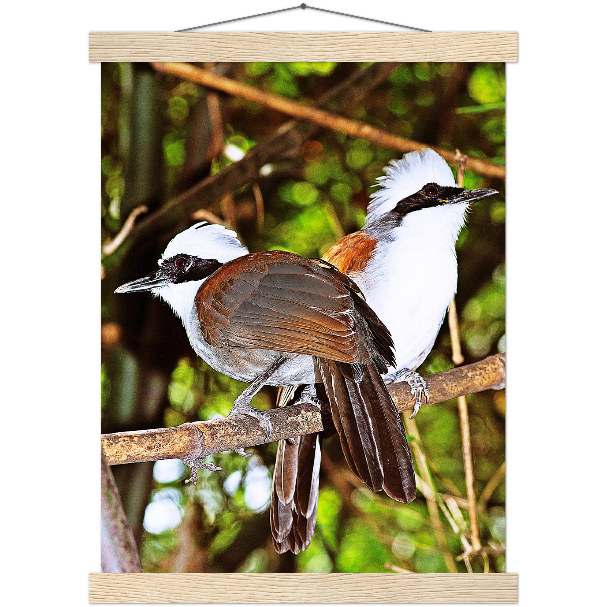 Classic Semi-Glossy Paper Poster with Hanger - Relaxation Series Poster 016