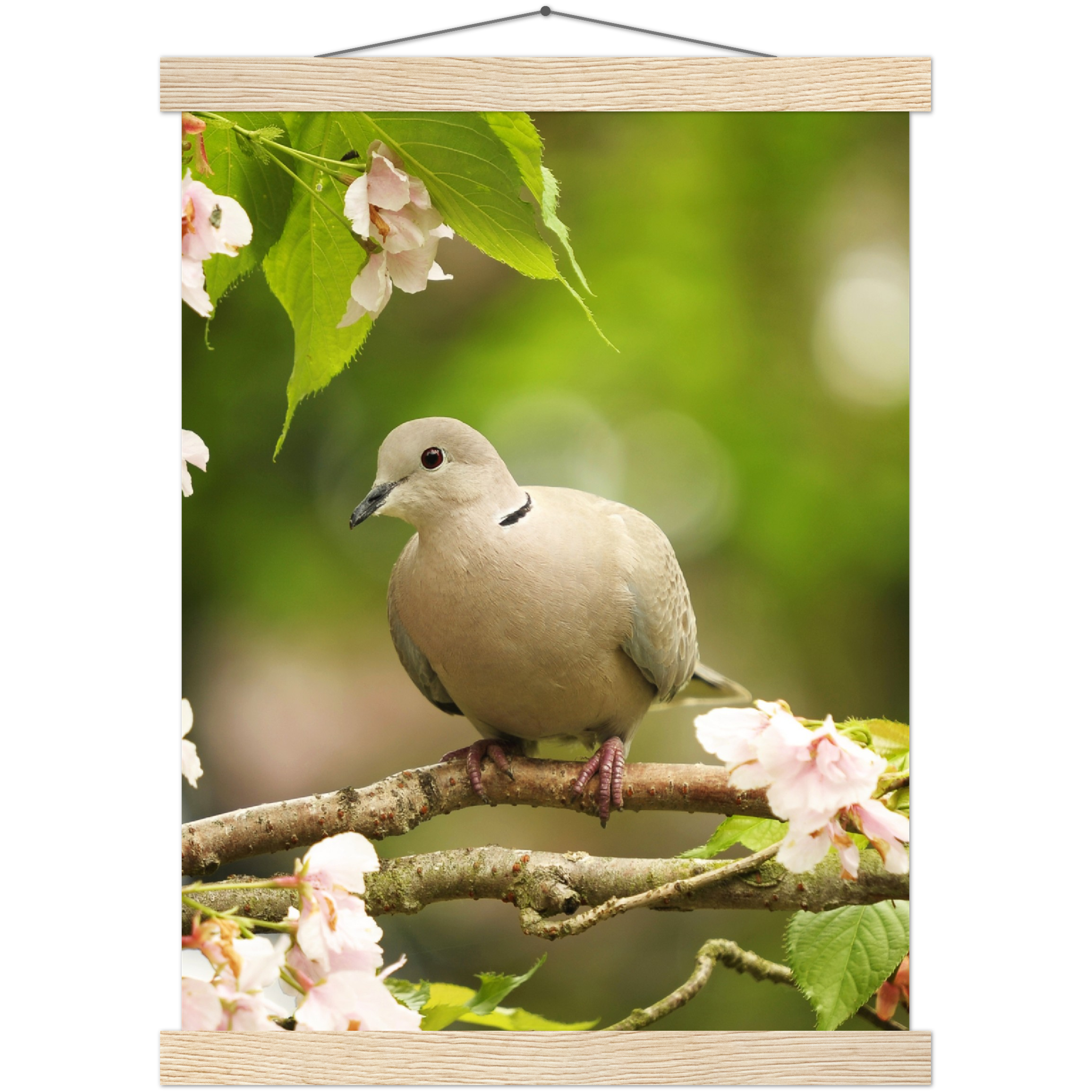 Classic Semi-Glossy Paper Poster with Hanger - Relaxation Series Poster 013