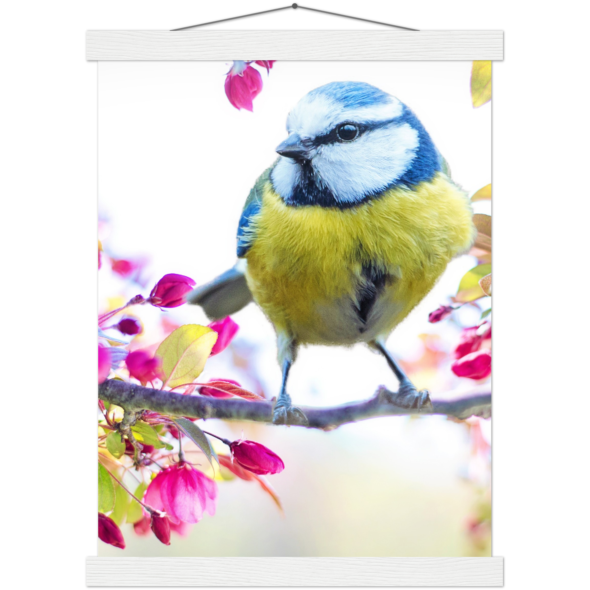 Classic Semi-Glossy Paper Poster with Hanger - Relaxation Series Poster 012