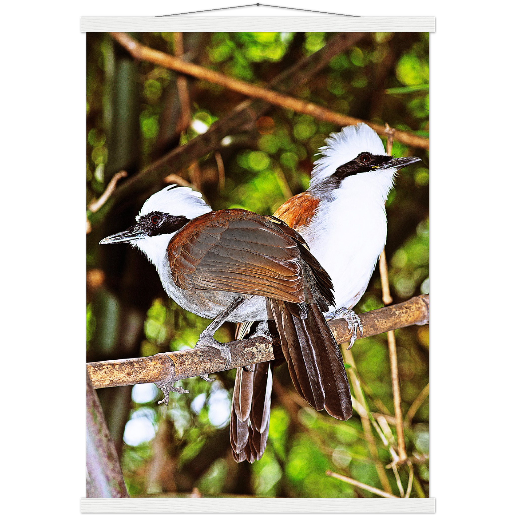 Classic Semi-Glossy Paper Poster with Hanger - Relaxation Series Poster 016