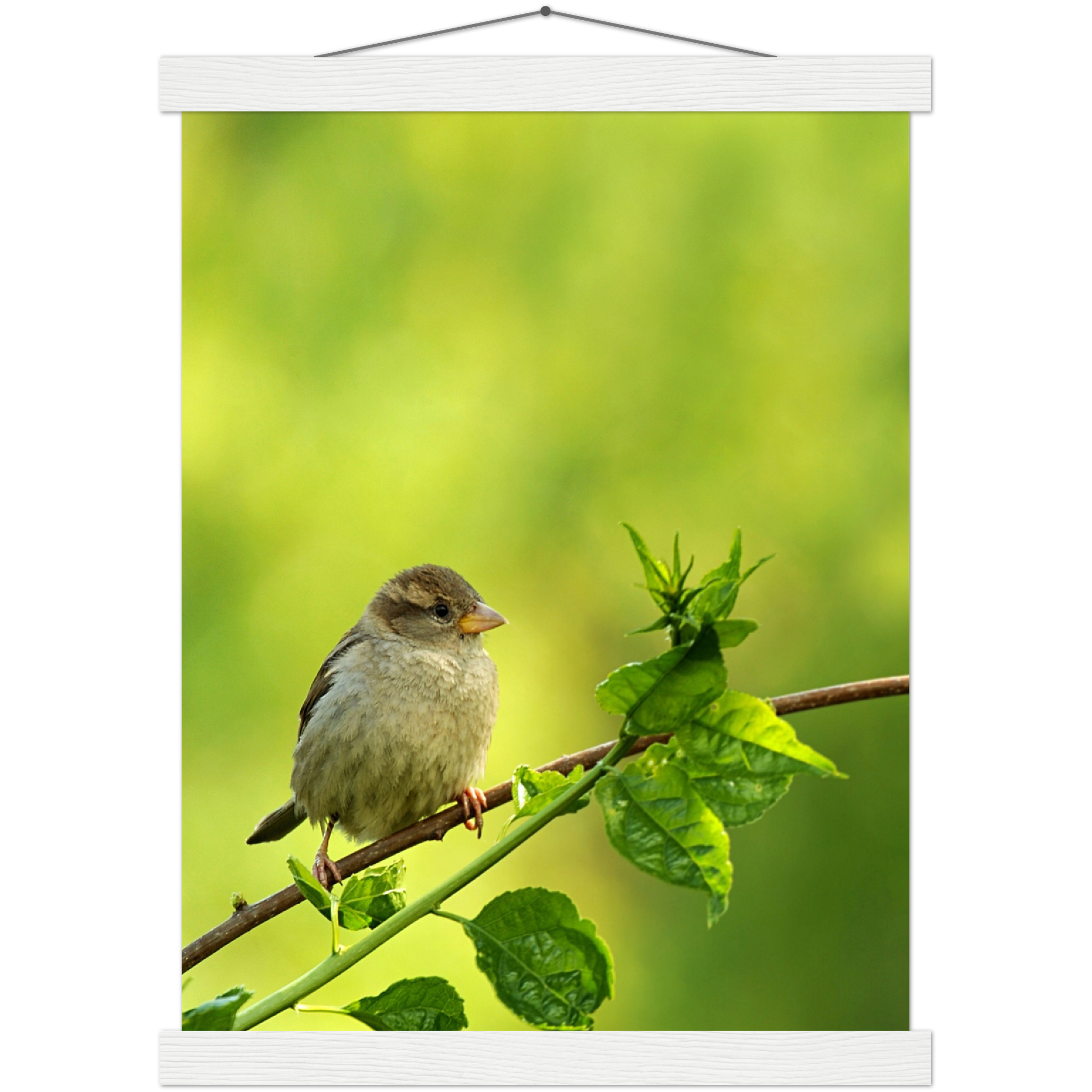 Classic Semi-Glossy Paper Poster with Hanger - Relaxation Series Poster 010