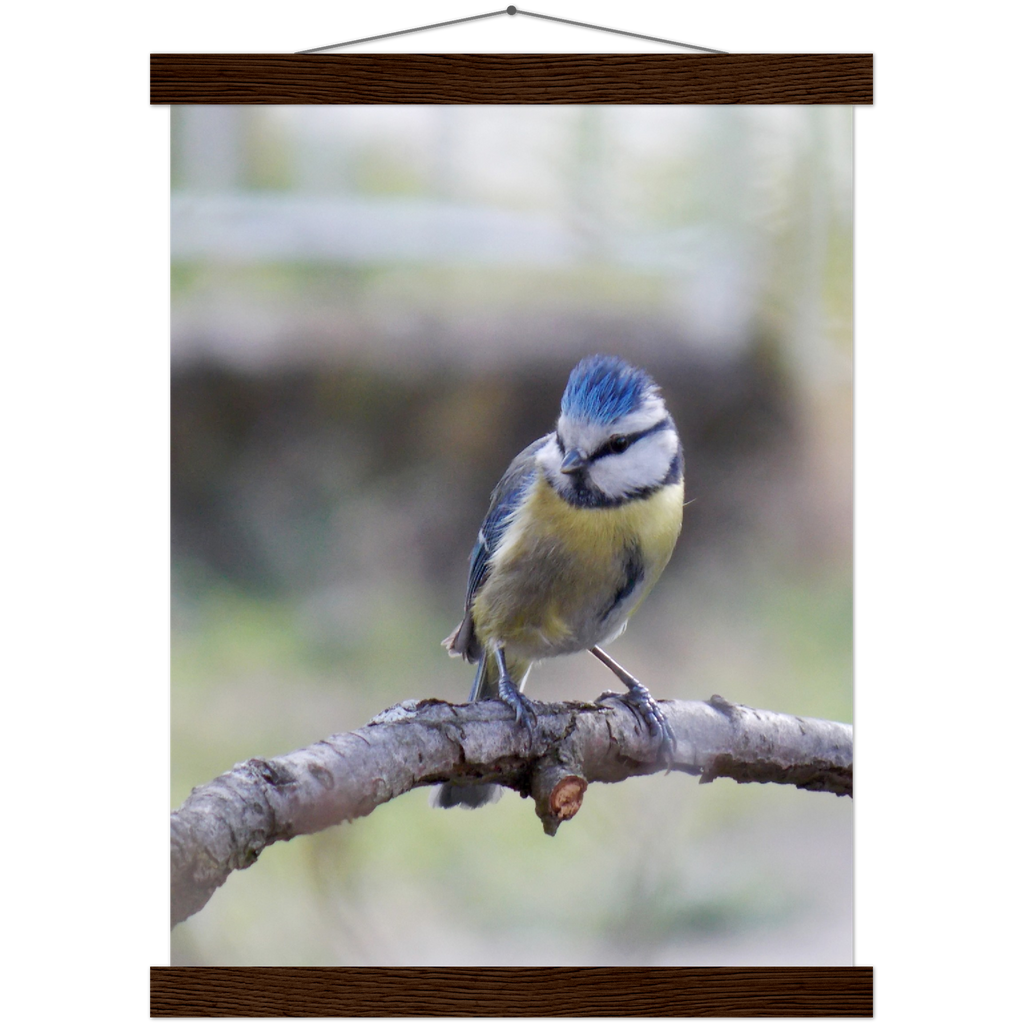 Classic Semi-Glossy Paper Poster with Hanger - Relaxation Series Poster 018