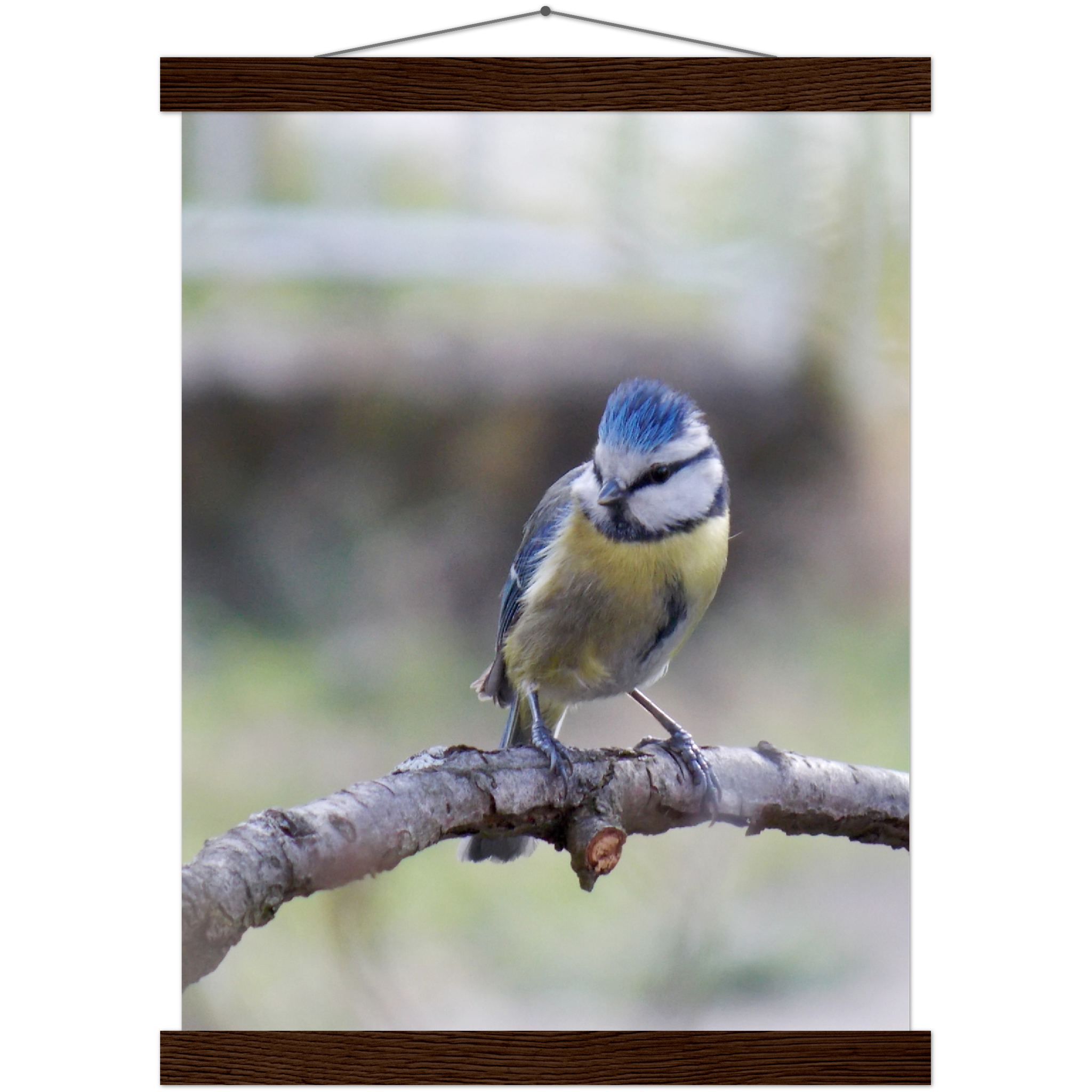 Classic Semi-Glossy Paper Poster with Hanger - Relaxation Series Poster 018