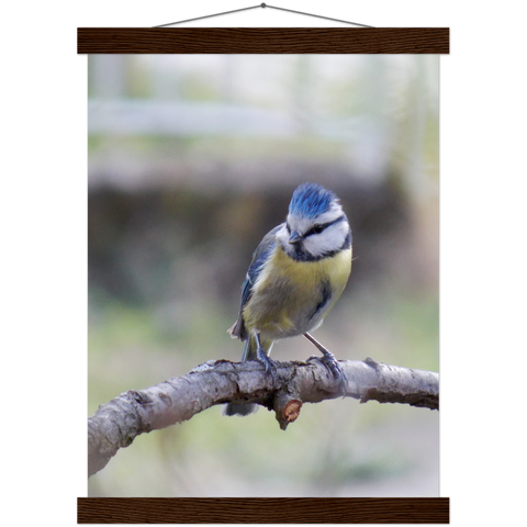 Classic Semi-Glossy Paper Poster with Hanger - Relaxation Series Poster 018