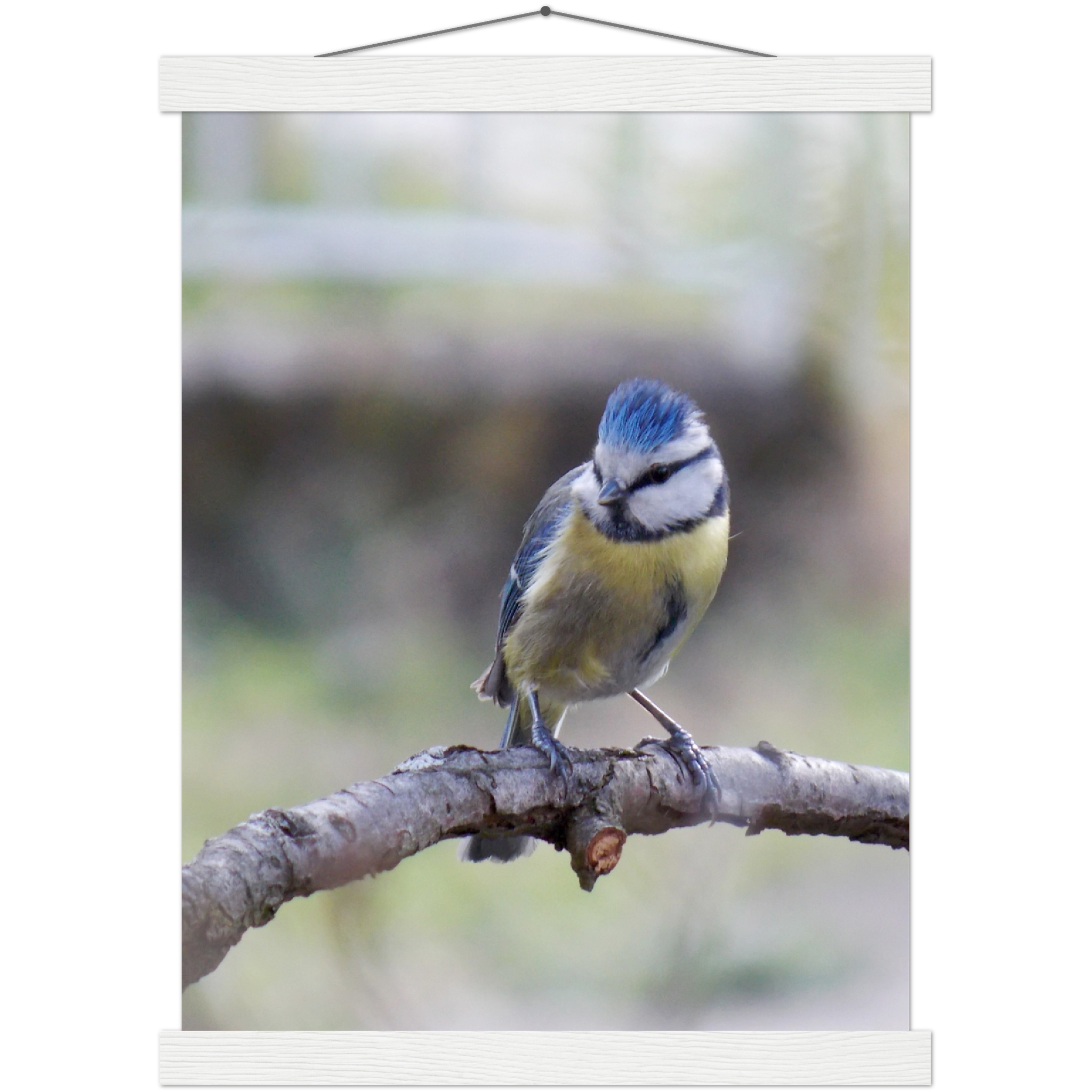 Classic Semi-Glossy Paper Poster with Hanger - Relaxation Series Poster 018