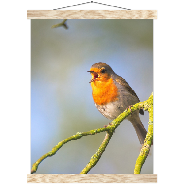 Classic Semi-Glossy Paper Poster with Hanger - Relaxation Series Poster 017