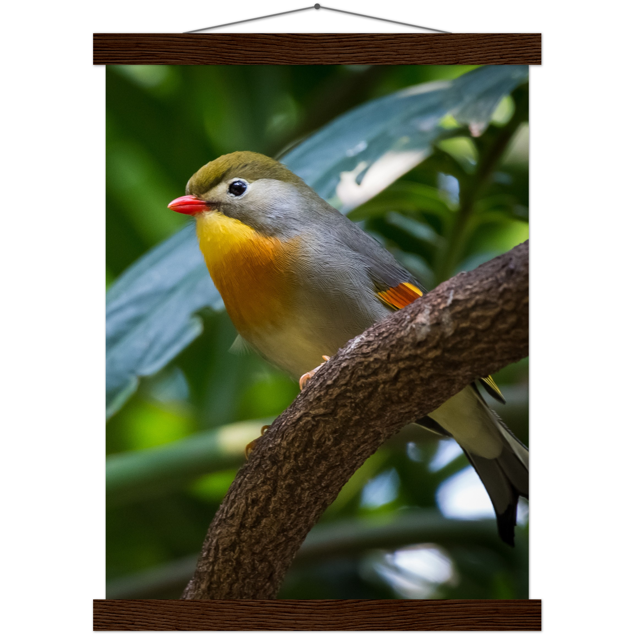 Classic Semi-Glossy Paper Poster with Hanger - Relaxation Series Poster 014