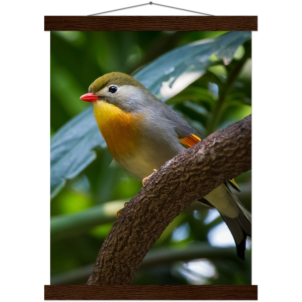 Classic Semi-Glossy Paper Poster with Hanger - Relaxation Series Poster 014