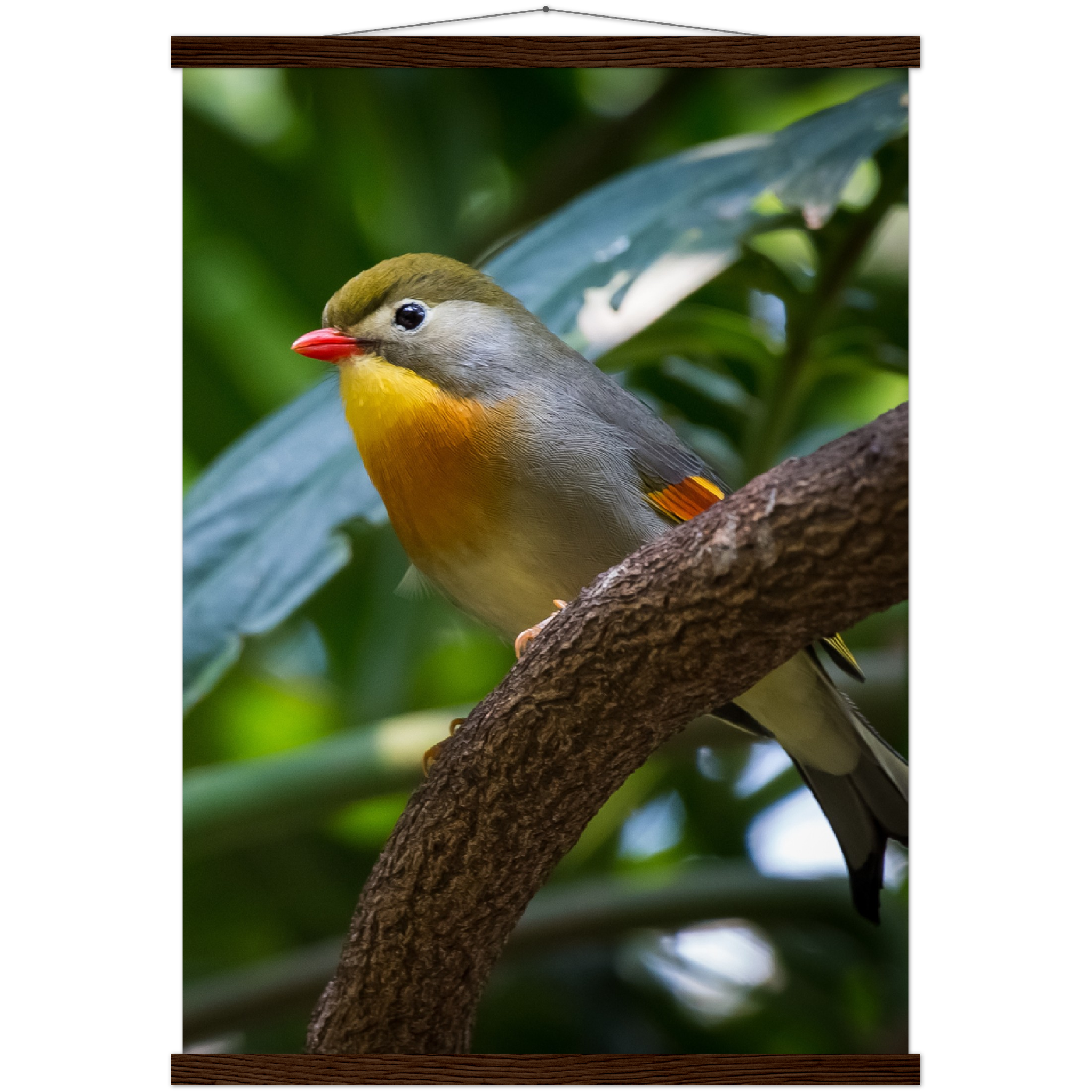 Classic Semi-Glossy Paper Poster with Hanger - Relaxation Series Poster 014