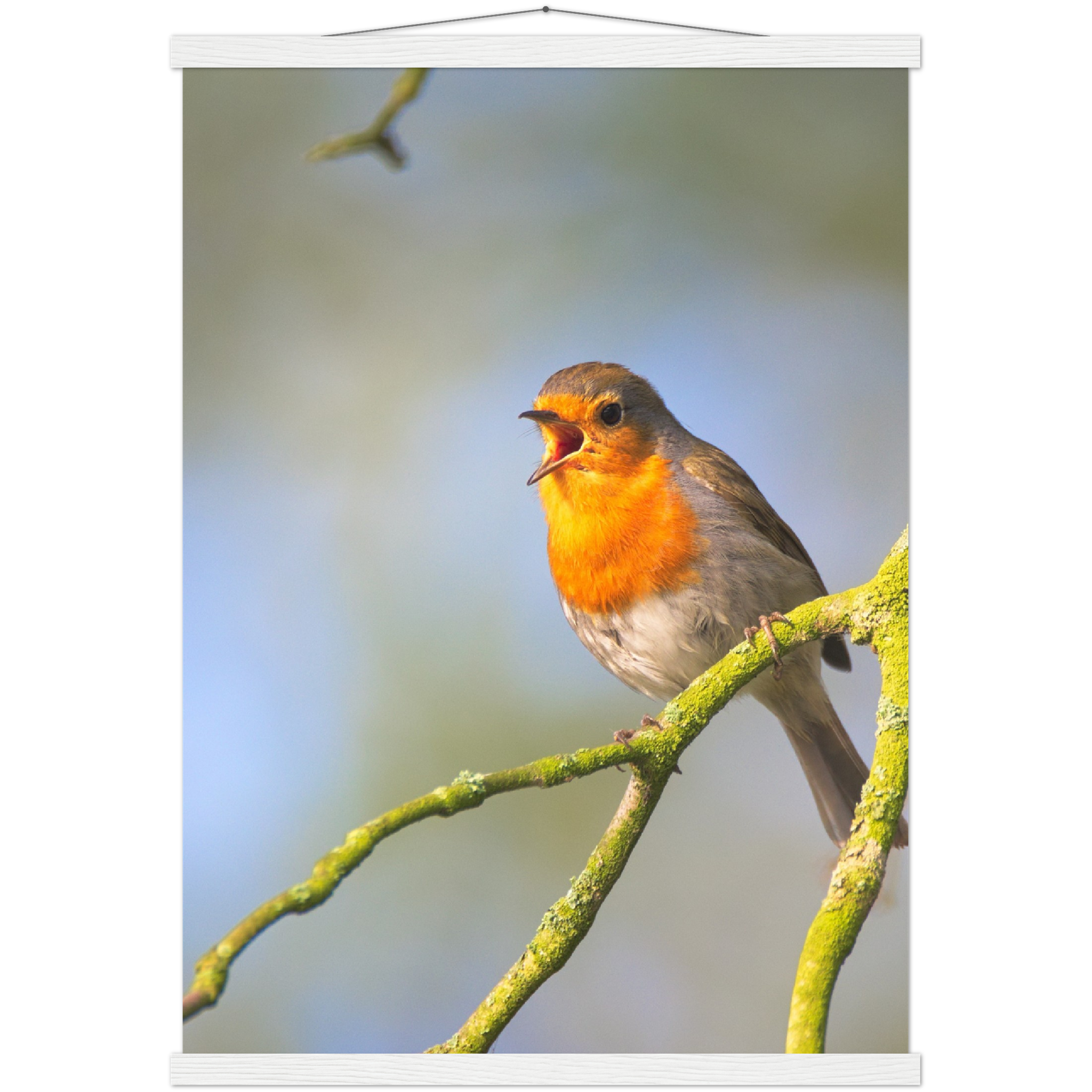 Classic Semi-Glossy Paper Poster with Hanger - Relaxation Series Poster 017