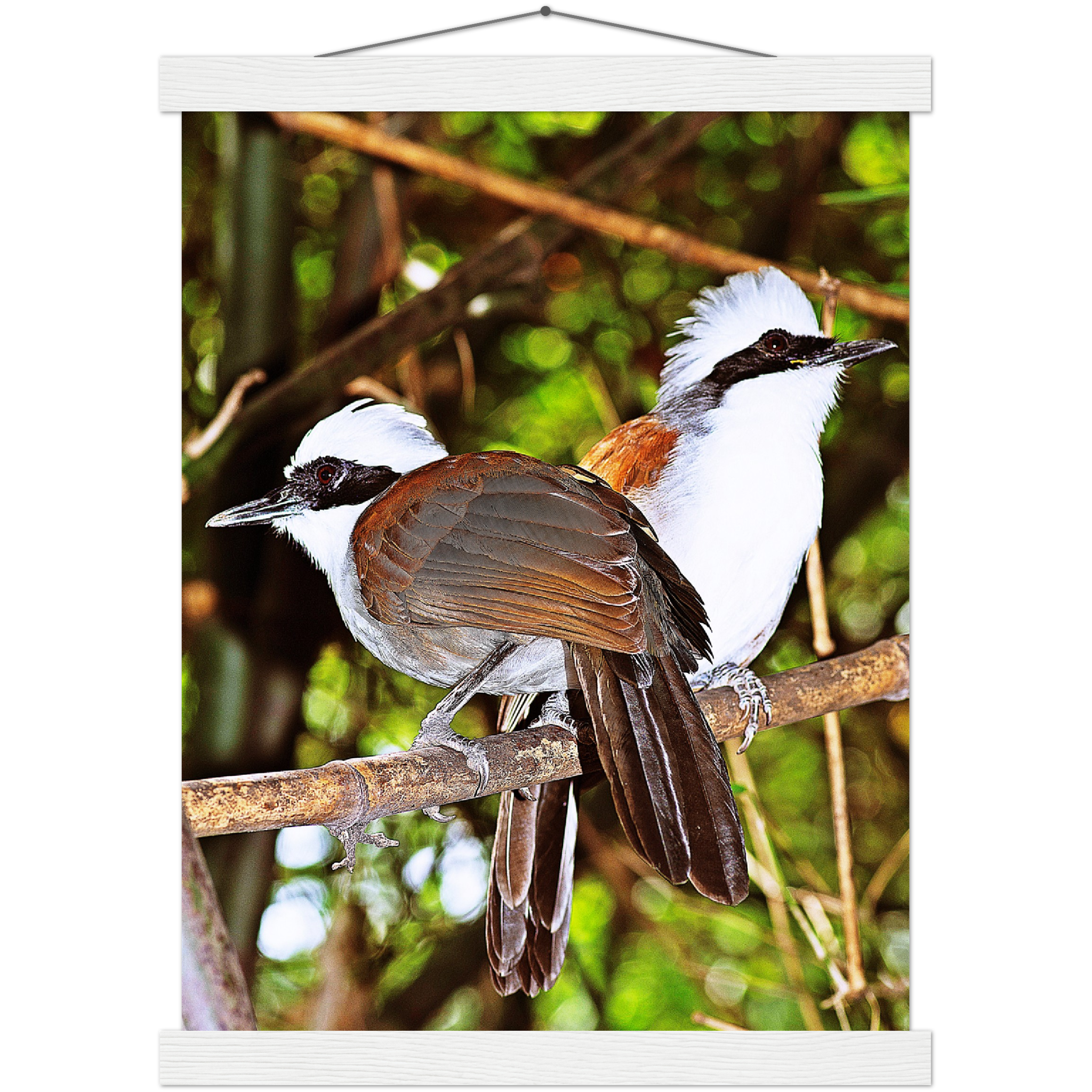 Classic Semi-Glossy Paper Poster with Hanger - Relaxation Series Poster 016