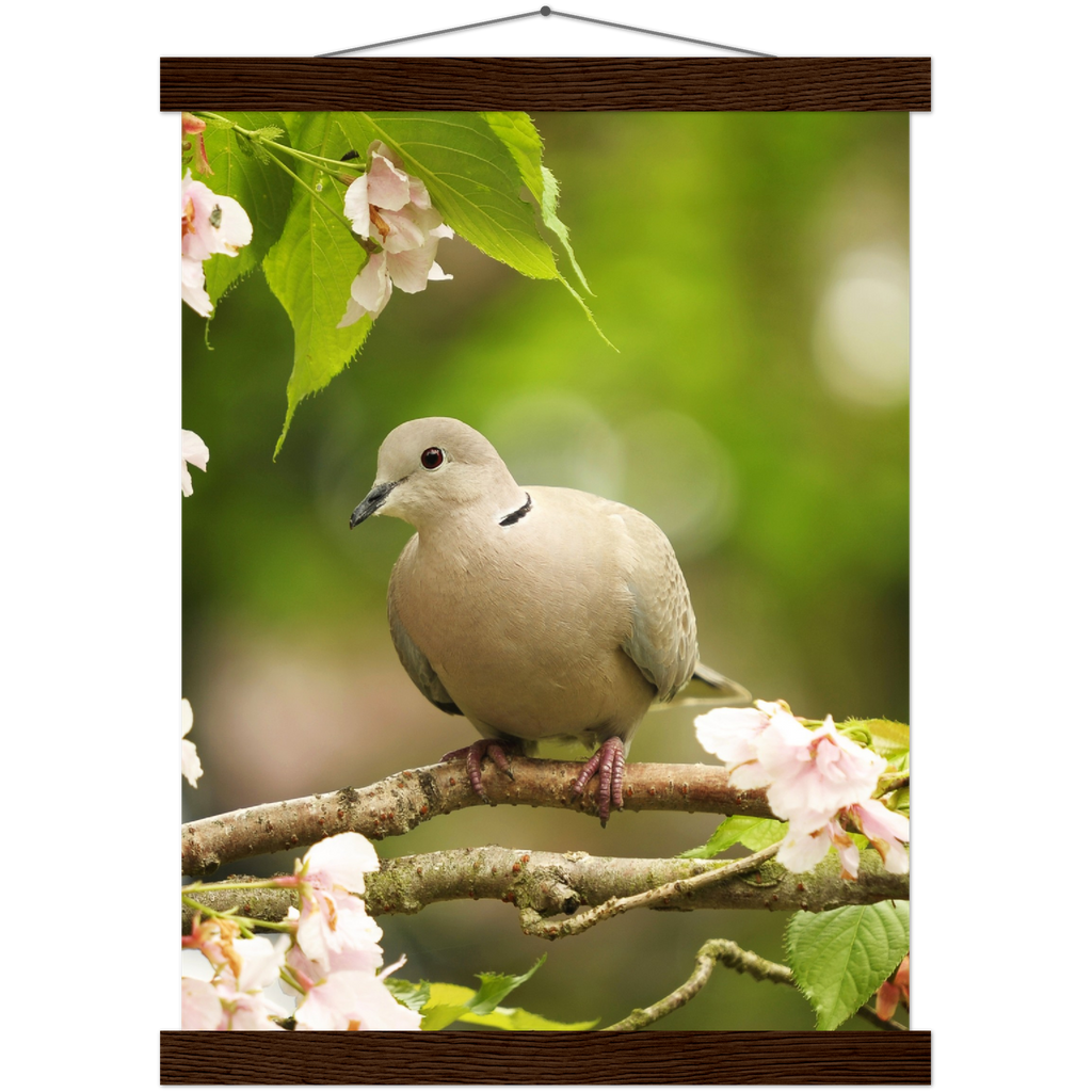 Classic Semi-Glossy Paper Poster with Hanger - Relaxation Series Poster 013