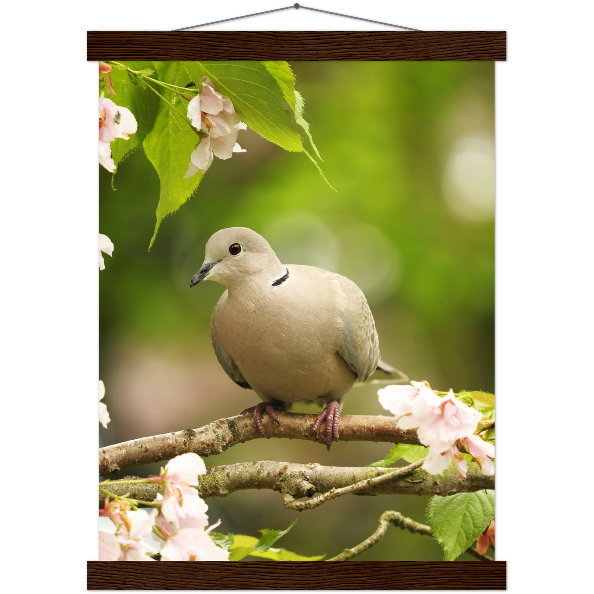 Classic Semi-Glossy Paper Poster with Hanger - Relaxation Series Poster 013