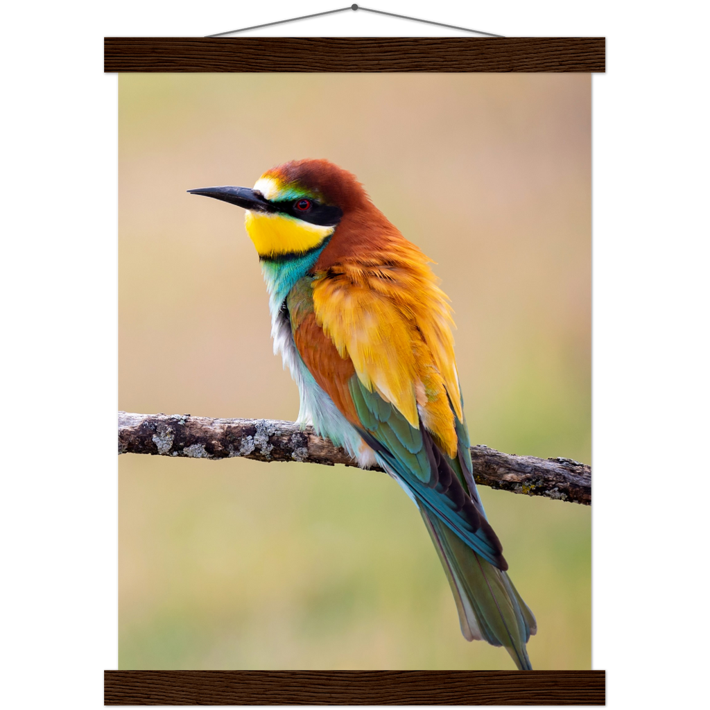 Classic Semi-Glossy Paper Poster with Hanger - Relaxation Series Poster 015