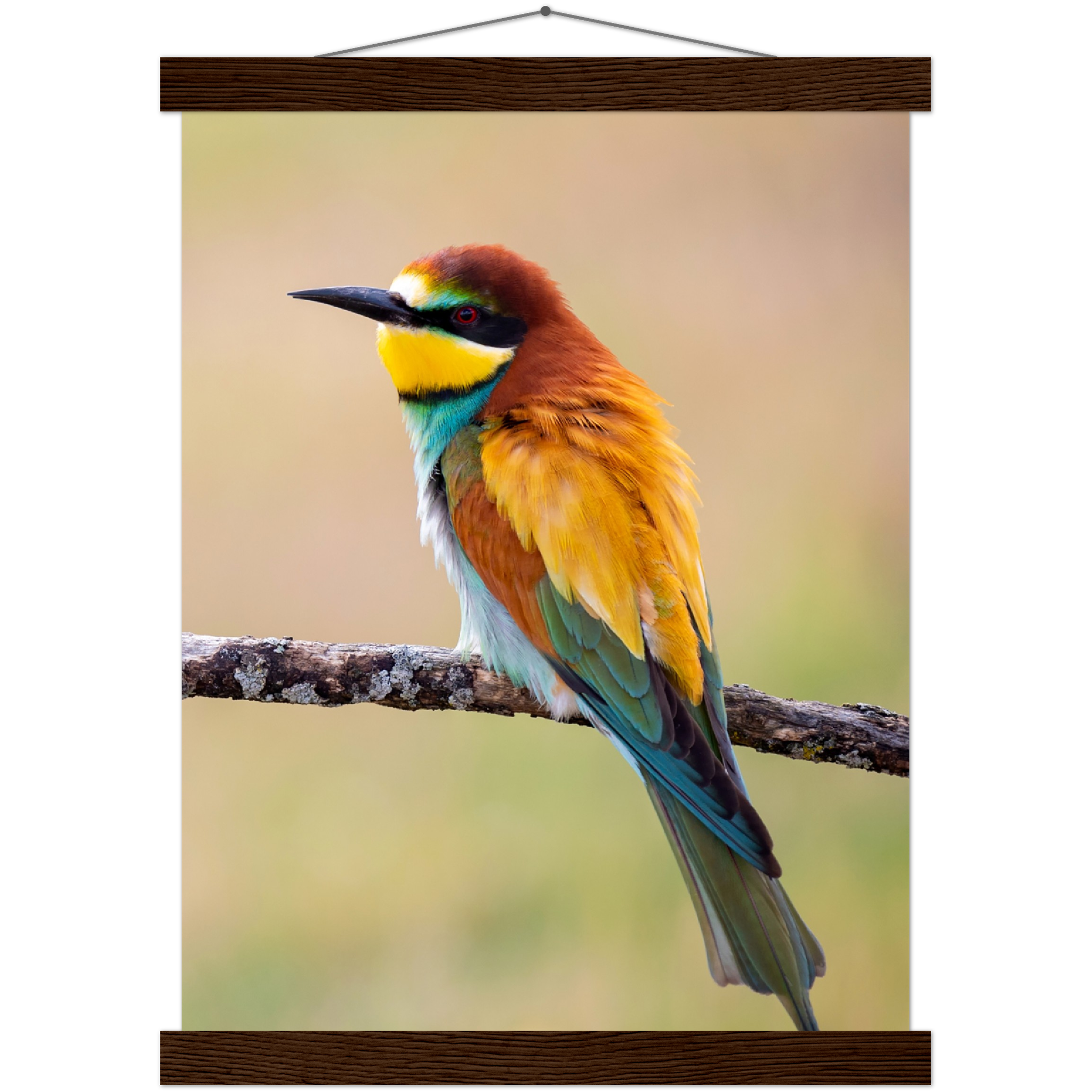 Classic Semi-Glossy Paper Poster with Hanger - Relaxation Series Poster 015