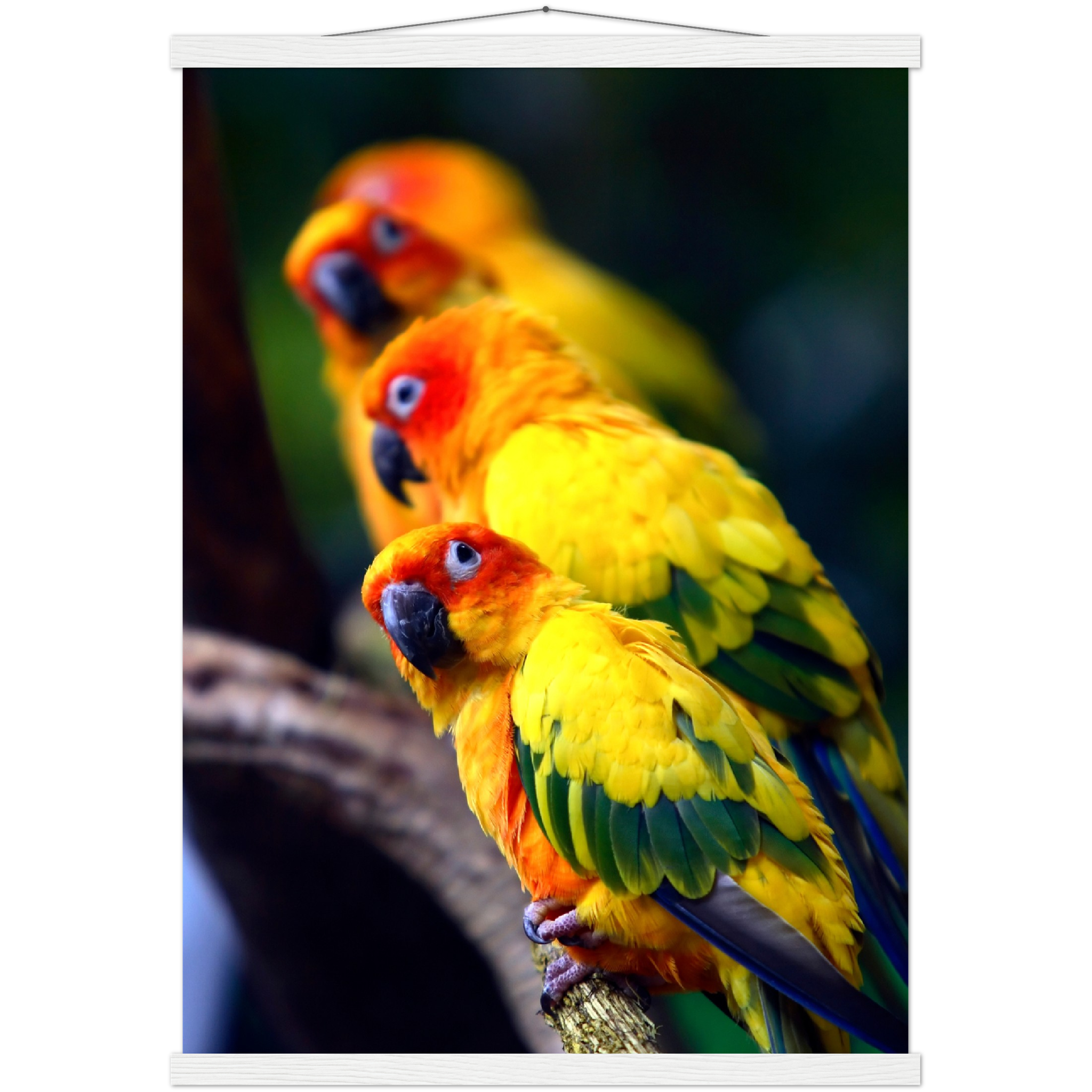 Classic Semi-Glossy Paper Poster with Hanger - Relaxation Series Poster 011