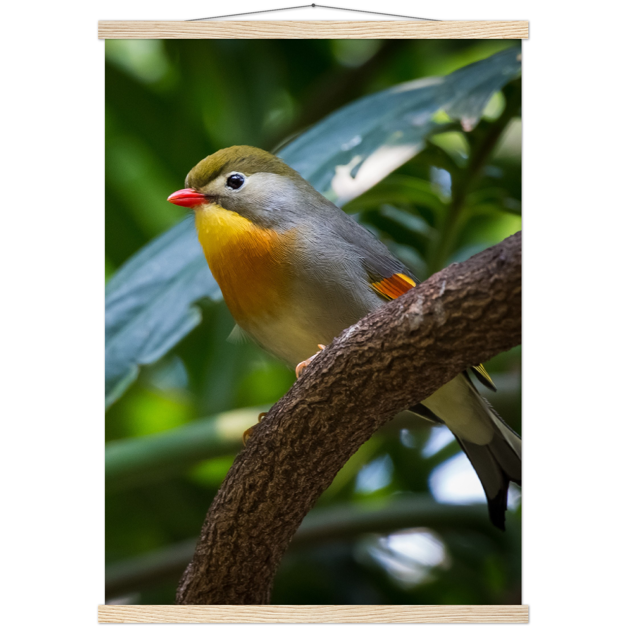 Classic Semi-Glossy Paper Poster with Hanger - Relaxation Series Poster 014