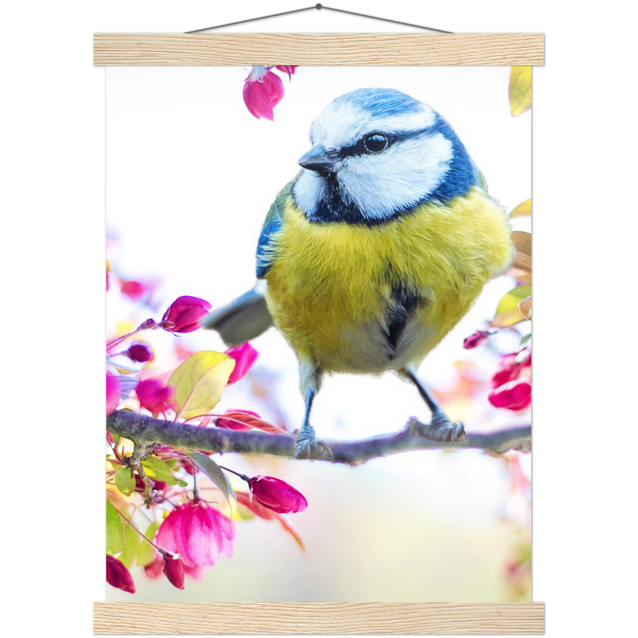 Classic Semi-Glossy Paper Poster with Hanger - Relaxation Series Poster 012