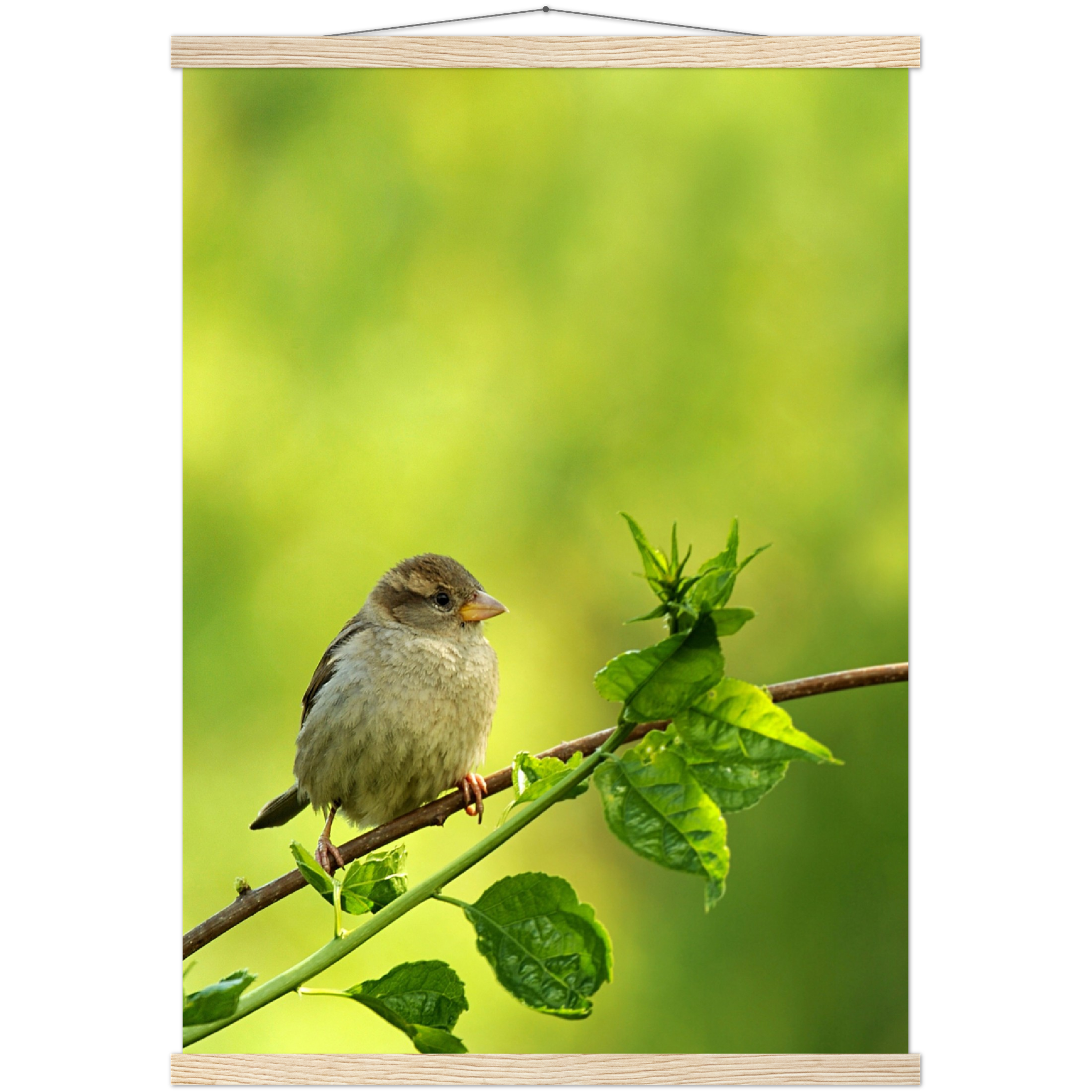 Classic Semi-Glossy Paper Poster with Hanger - Relaxation Series Poster 010