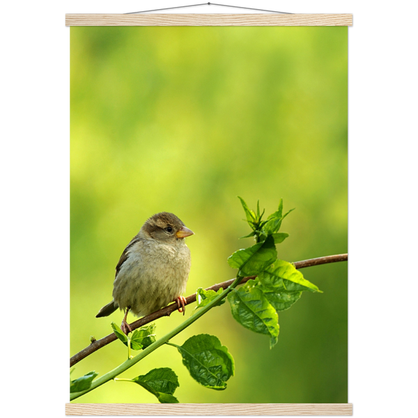Classic Semi-Glossy Paper Poster with Hanger - Relaxation Series Poster 010